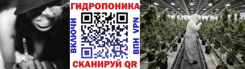 Сколько стоит Эртиль блэк спрут tor  Меф  АМФЕТАМИН  Конопля  APVP 
