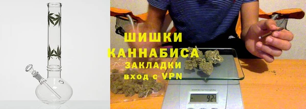 ALPHA PVP Бердск