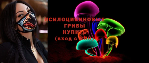 дурь Надым