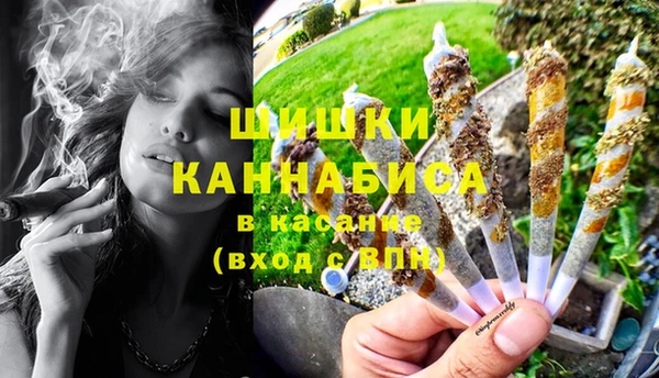 шишки Артём