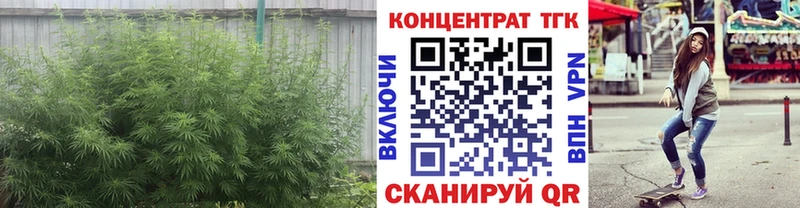 ТГК THC oil Эртиль